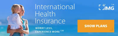 Travel Insurance Banner.